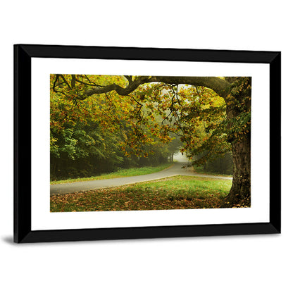 Foggy Autumn Forest Path Wall Art