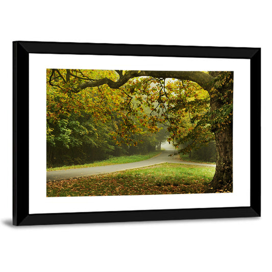 Foggy Autumn Forest Path Wall Art