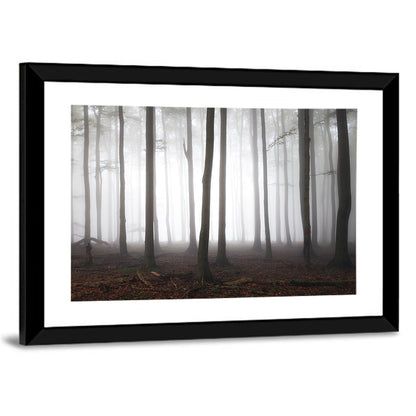 Misty Forest Perspective Wall Art