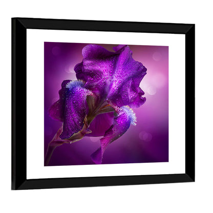 Purple Iris Macro Wall Art