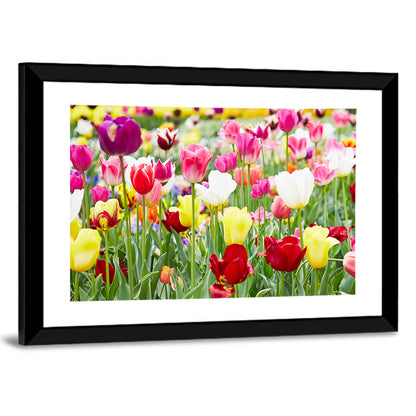 Blooming Tulips Wall Art