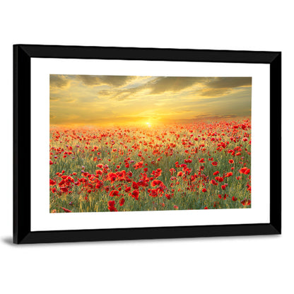 Poppy Field at Sunset Wall Art