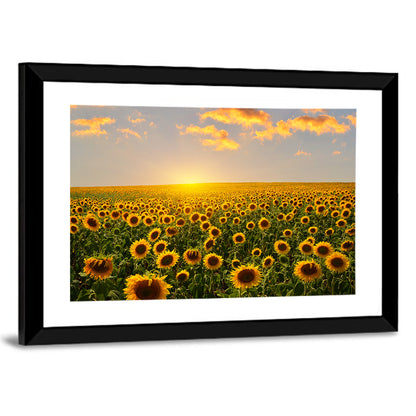 Sunflower Field at Sunset Wall Art