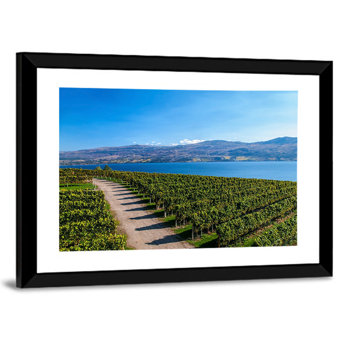Lake Okanagan Vineyard Path Wall Art as a framed print