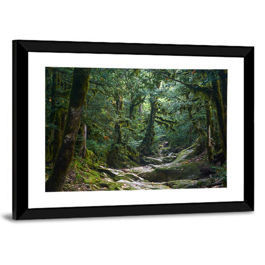 Mossy Halloween Forest Path Wall Art