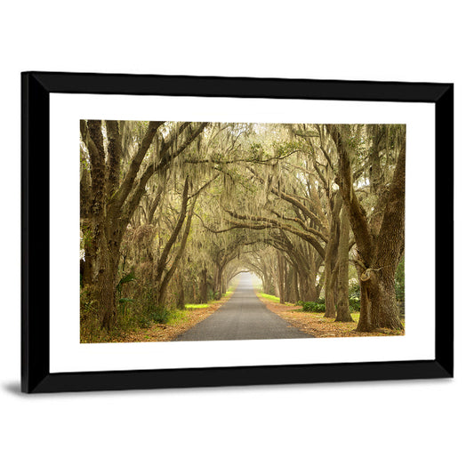 Spanish Moss Country Road Wall Art