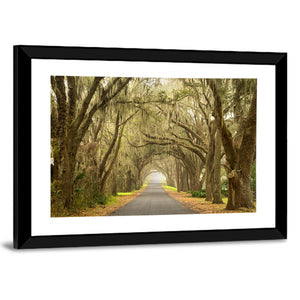 Spanish Moss Countryside Road Wall Art