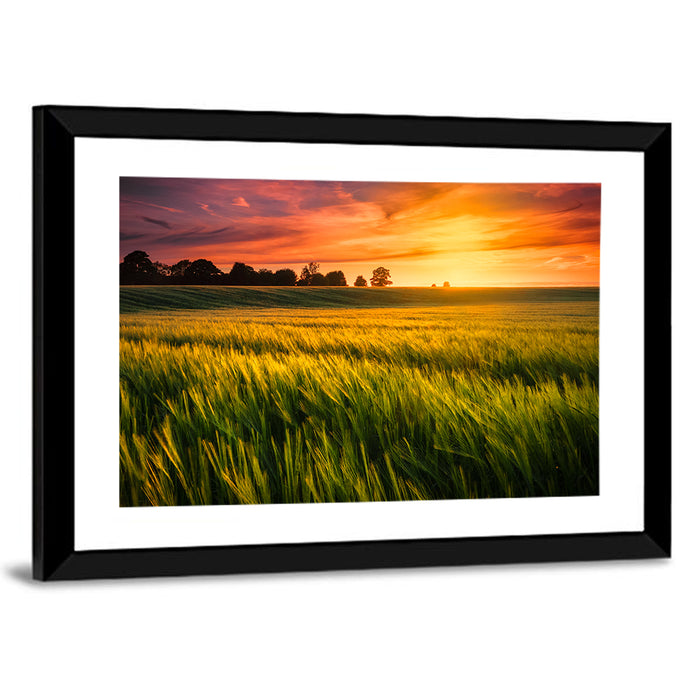 Wheat Field at Golden Hour Wall Art as a framed print