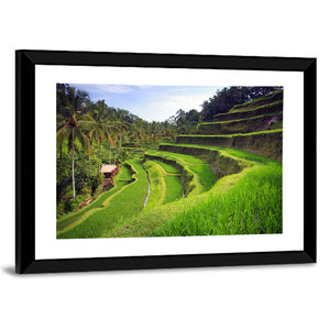 Terrace Rice Fields In Tegallalang Wall Art