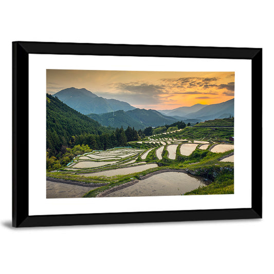 Sunset Over Japanese Rice Terraces Wall Art
