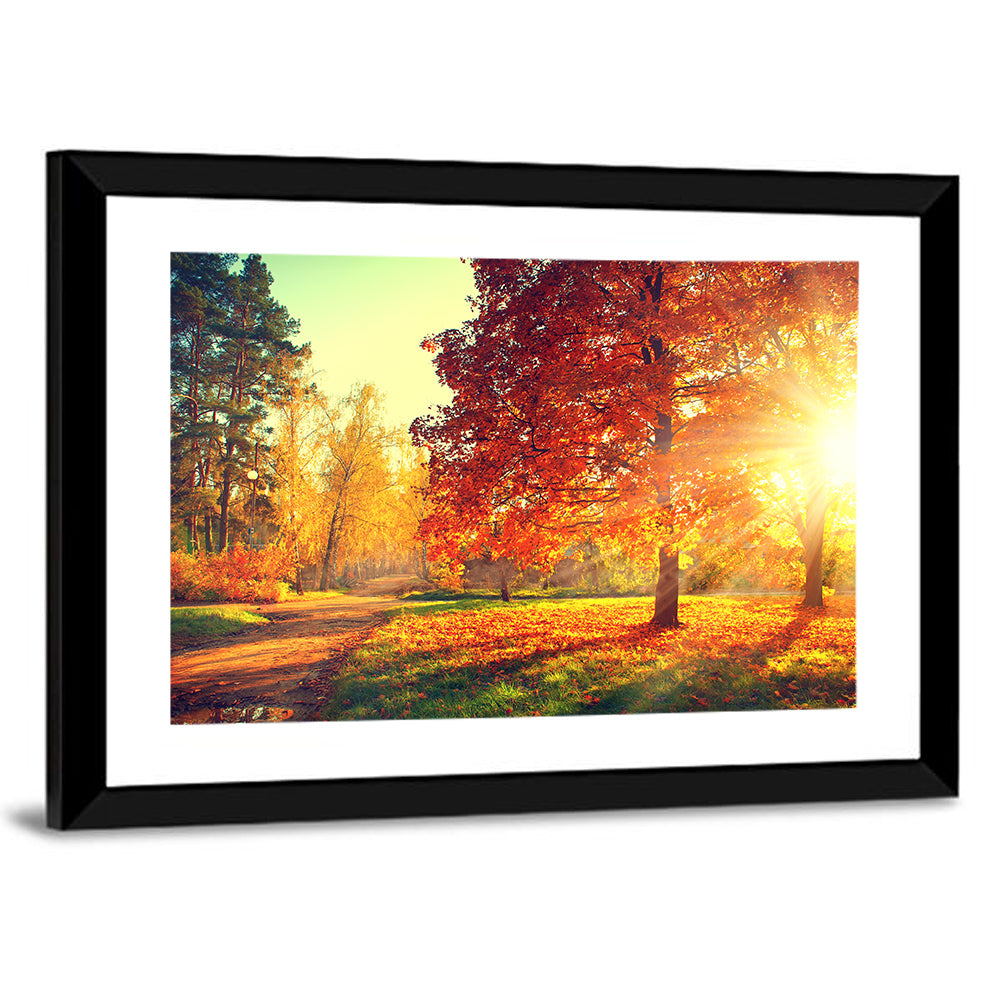 Sunlit Autumn Forest Path Wall Art