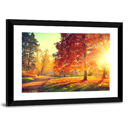 Sunlit Autumn Forest Path Wall Art