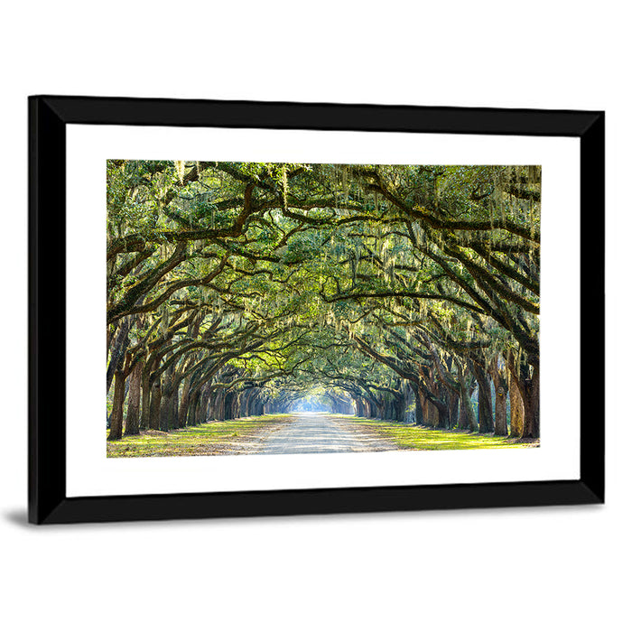 Wormsloe Plantation Oak Tunnel Wall Art as a framed print
