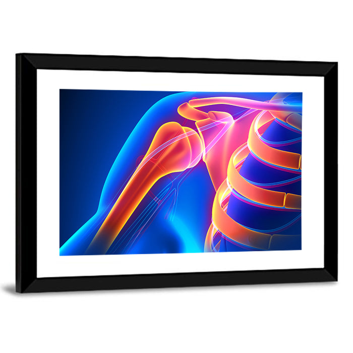 Shoulder Pain Anatomy Study Wall Art as a framed print