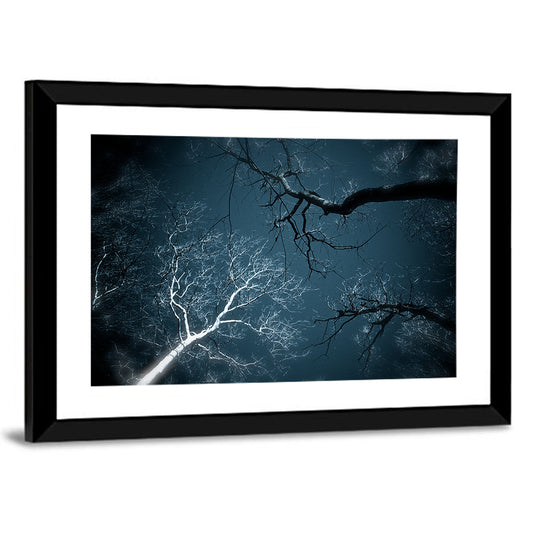 Twilight Canopy with Glowing Bark Wall Art