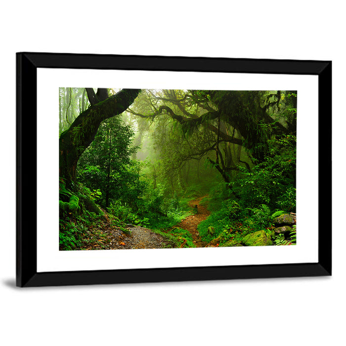 Misty Forest Trail in Nepal Wall Art as a framed print