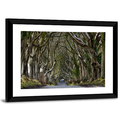 Dark Hedges Tree Tunnel Wall Art