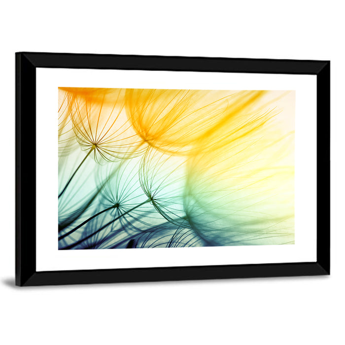 Sunlit Dandelion Seed Macro Wall Art as a framed print