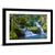 Tropical Rainforest In Hawaii Wall Art