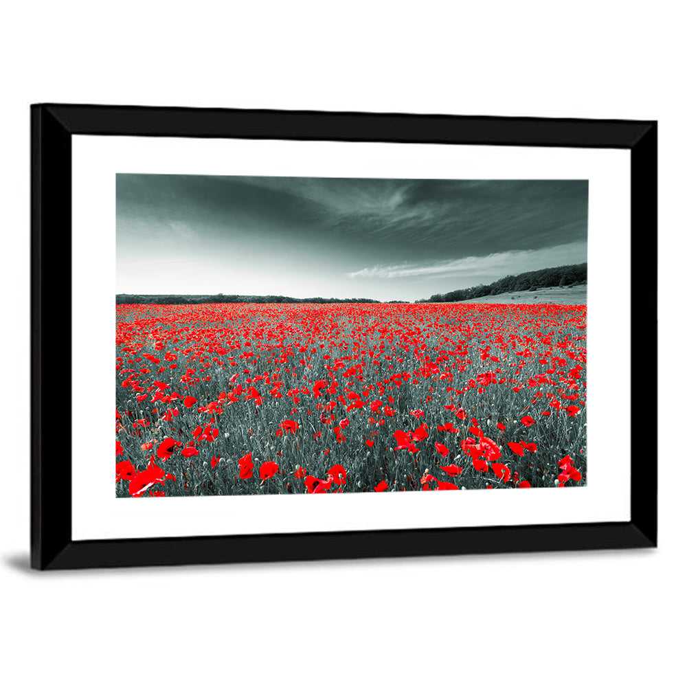 Red Poppy Field Wall Art