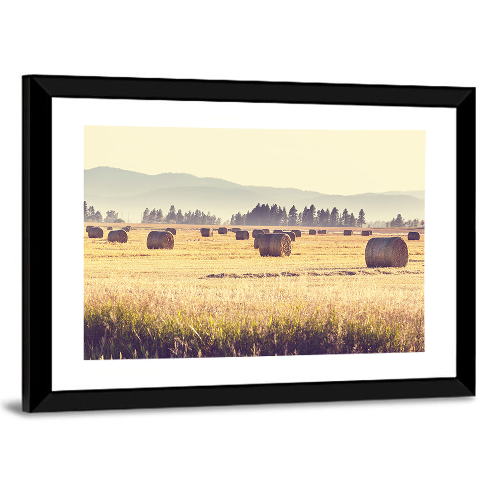 Golden Hay Bales Field Wall Art