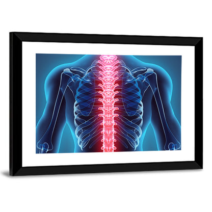 Human Spine Anatomy Illustration Wall Art