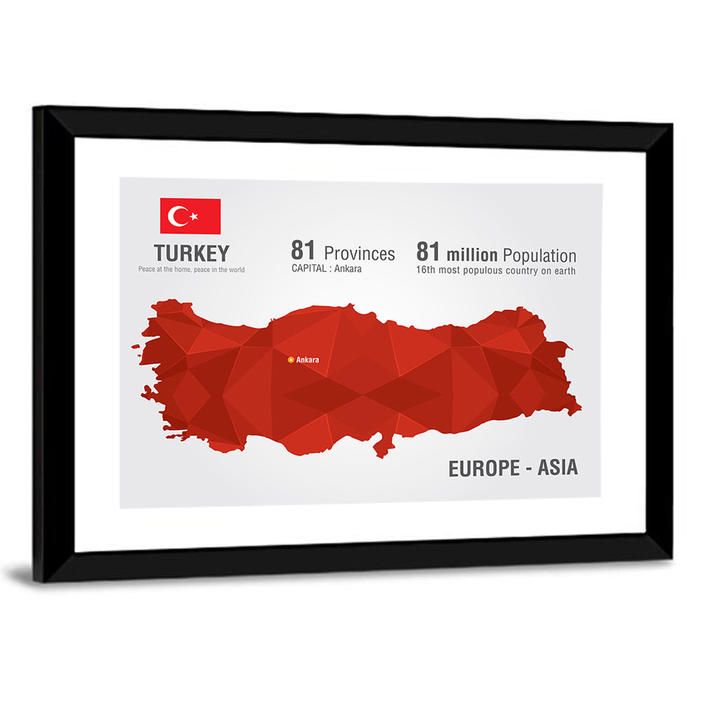 Turkey Map Infographic Wall Art