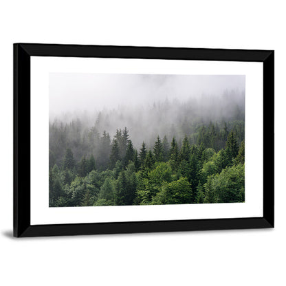 Misty Evergreen Forest Overview Wall Art