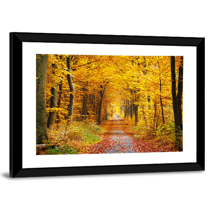 Autumn Forest Path Wall Art as a framed print