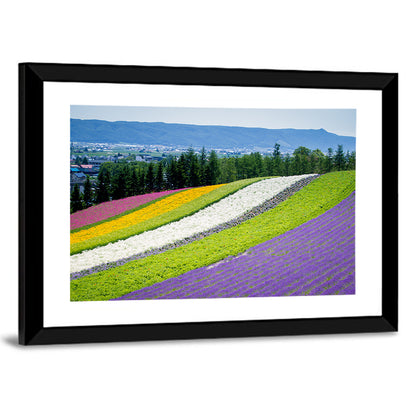 Farm Tomita Lavender Fields Wall Art