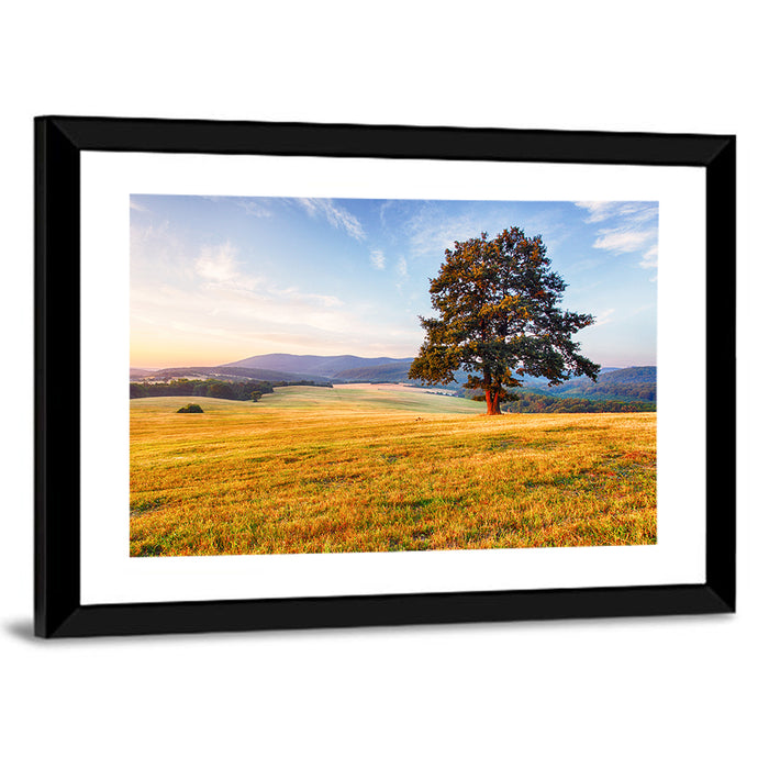 Golden Hour Meadow with Lone Tree Wall Art as a framed print