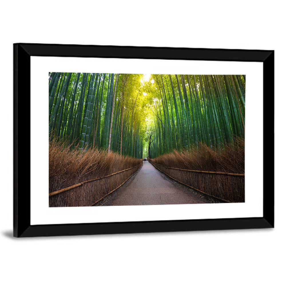 Bamboo Forest In Kyoto Wall Art