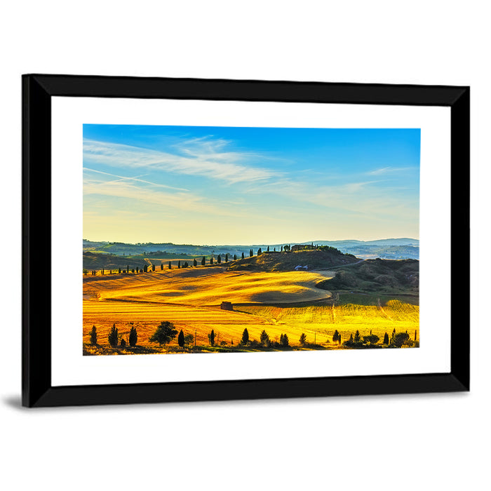 Cypress Trees Over Golden Fields Wall Art as a framed print