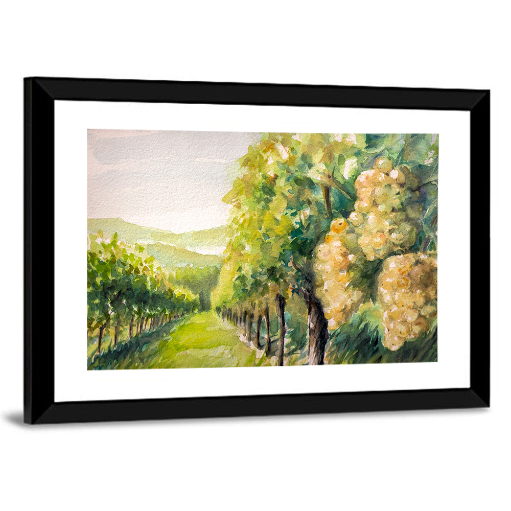 Sunlit Vineyard Watercolor Wall Art