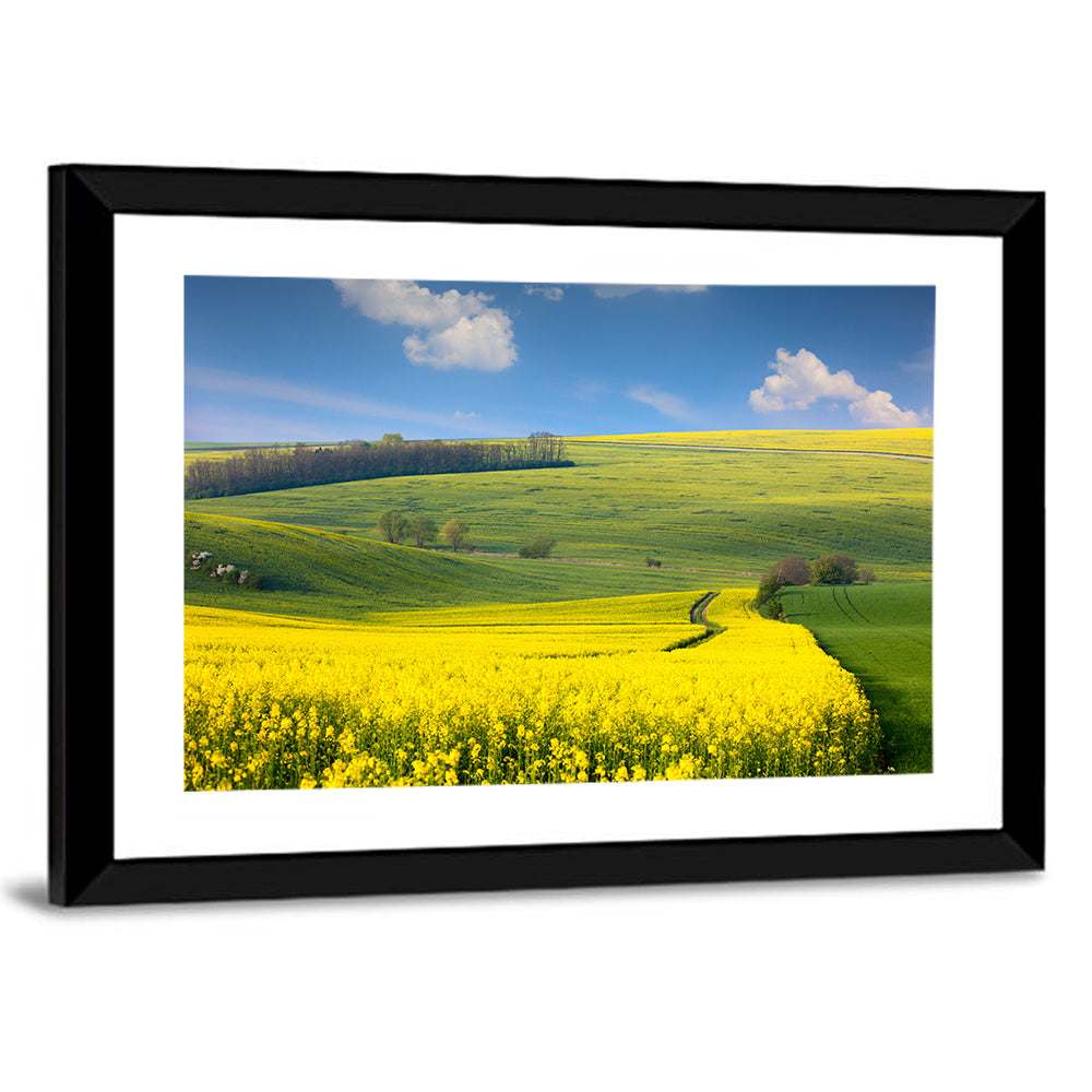 Sunlit Rapeseed Hills Wall Art