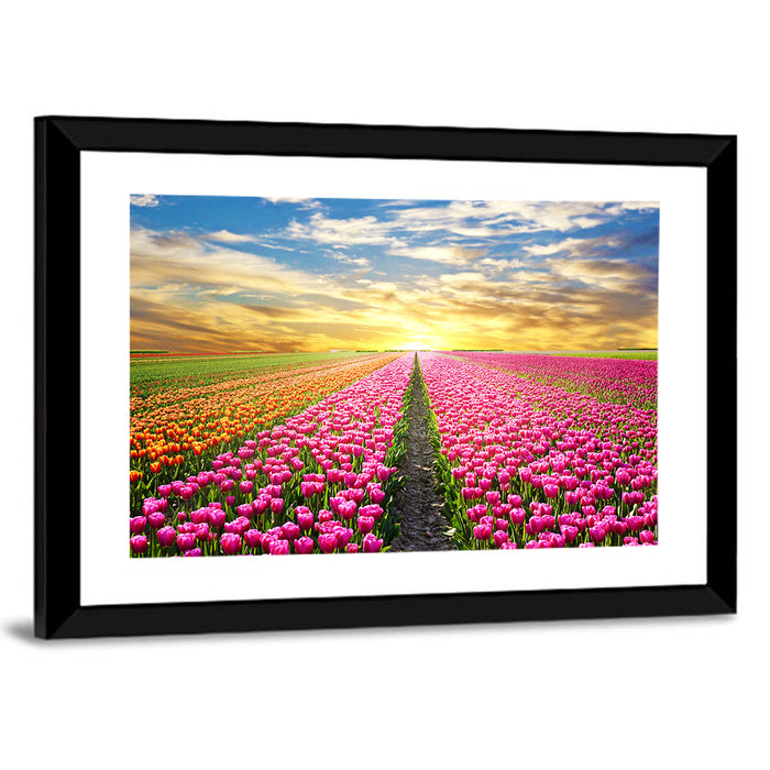Sunrise Over Tulip Field Wall Art as a framed print