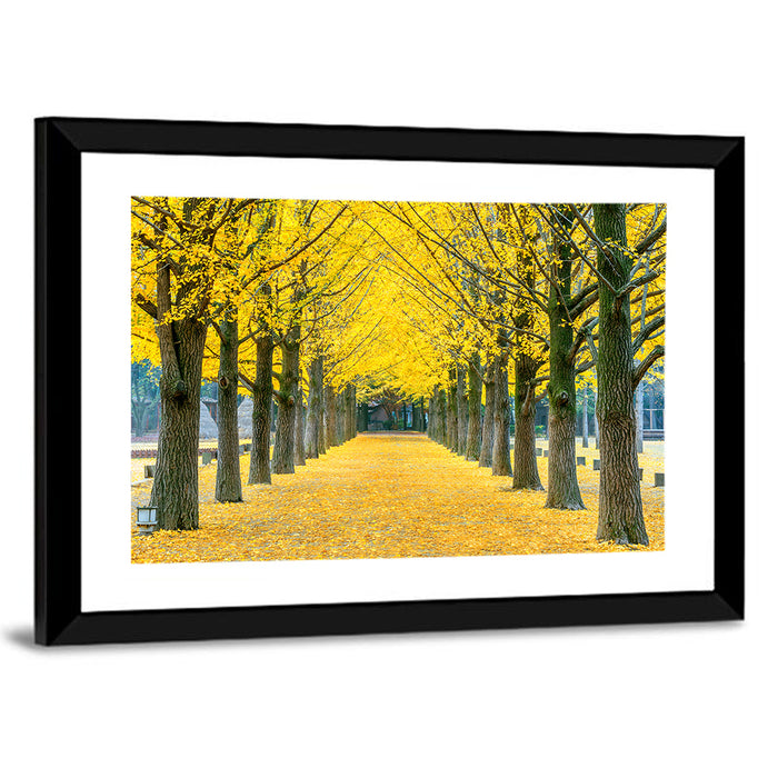 Row of Yellow Ginkgo Trees Wall Art as a framed print