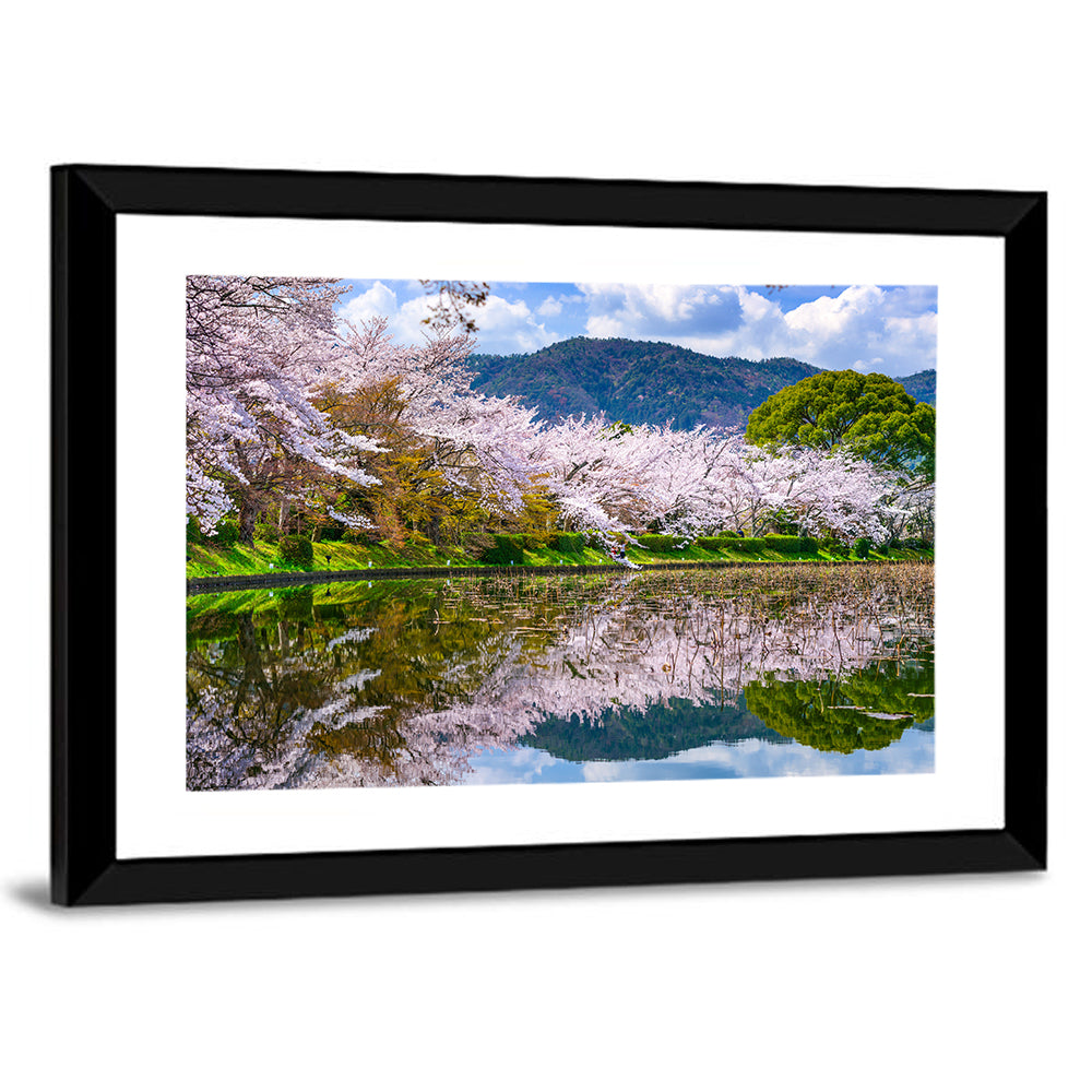 Spring at Daikaku-ji Pond Wall Art