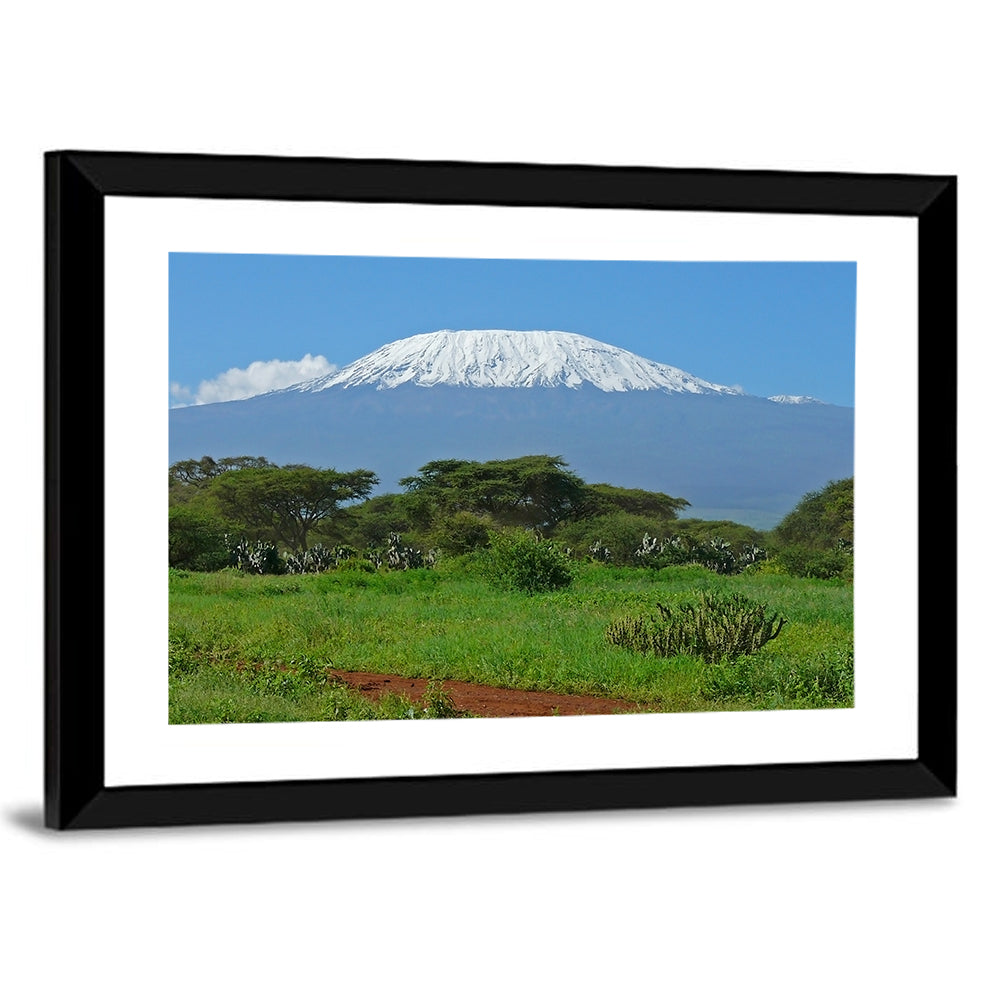Mount Kilimanjaro Snow Capped Peak Wall Art