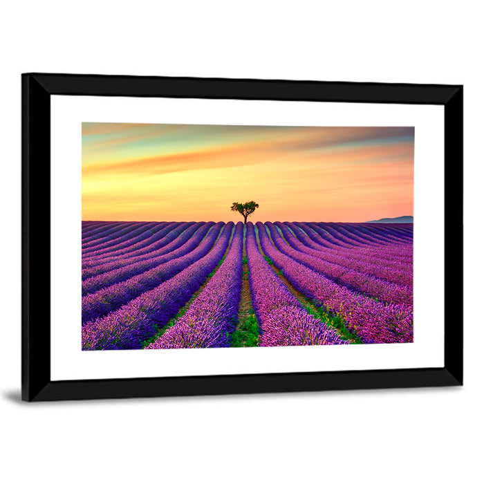 Lavender Field with Solitary Tree Wall Art as a framed print