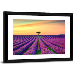 Lavender Flowers Blooming Field Wall Art