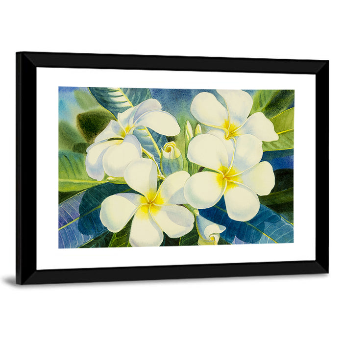White Plumeria Watercolor Study Wall Art as a framed print