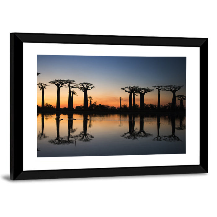 Avenue of the Baobabs at Sunrise Wall Art as a framed print