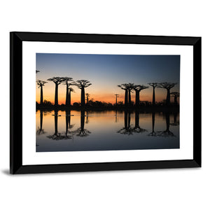 Baobabs At Sunrise Madagascar Wall Art