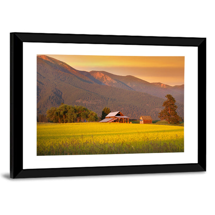 Rapeseed Field and Barn at Golden Hour Wall Art as a framed print