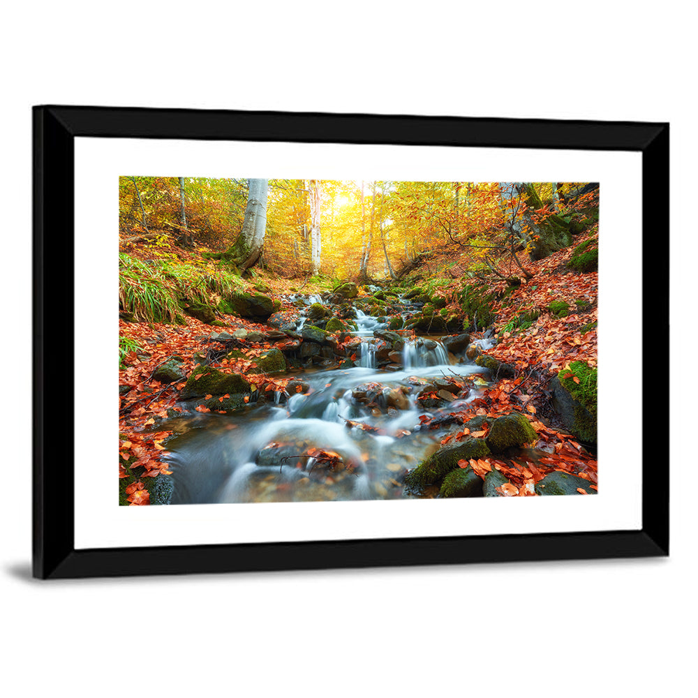 Backlit Autumn Forest Stream Wall Art