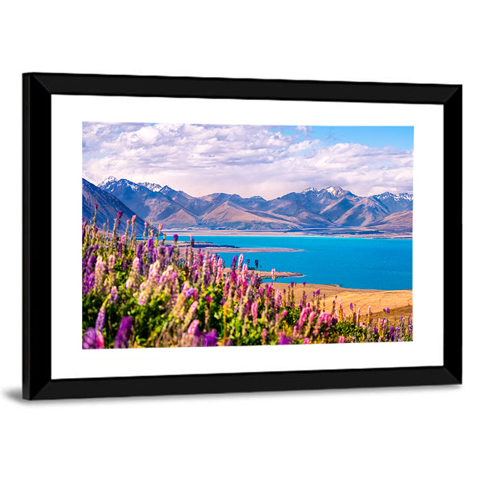 Lake Tekapo Lupine Meadow Wall Art as a framed print