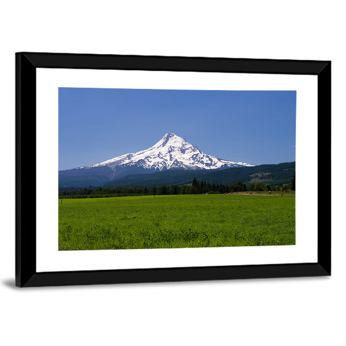 Mount Hood Meadow View Wall Art as a framed print