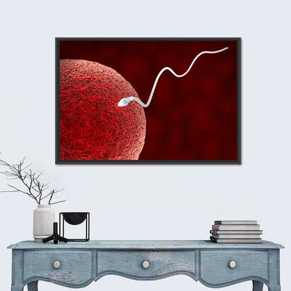 Sperm Approaching Ovum Wall Art