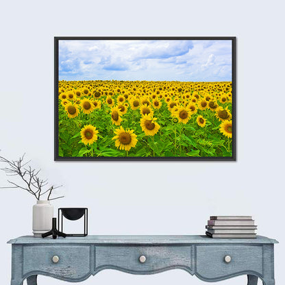 Sunflower Field Under Blue Sky Wall Art